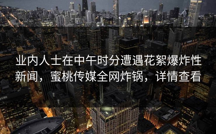 业内人士在中午时分遭遇花絮爆炸性新闻，蜜桃传媒全网炸锅，详情查看