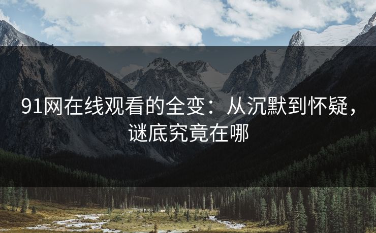 91网在线观看的全变：从沉默到怀疑，谜底究竟在哪